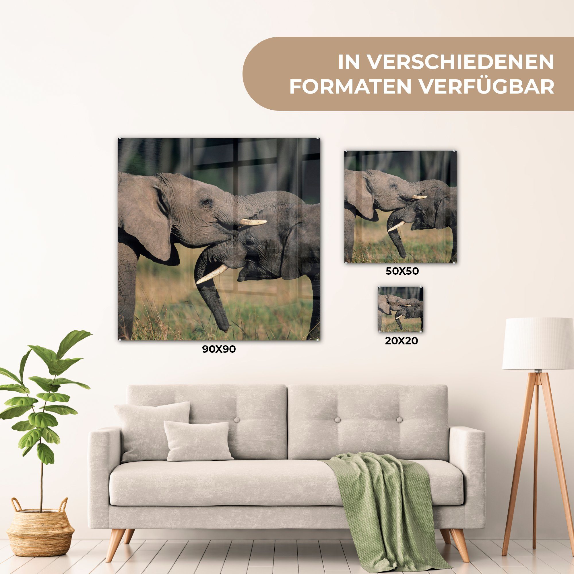 - auf Tiere - Elefant (1 - - Glasbilder - Foto Natur, auf Grau Acrylglasbild Glas Wanddekoration MuchoWow Glas St), - Bilder Wandbild