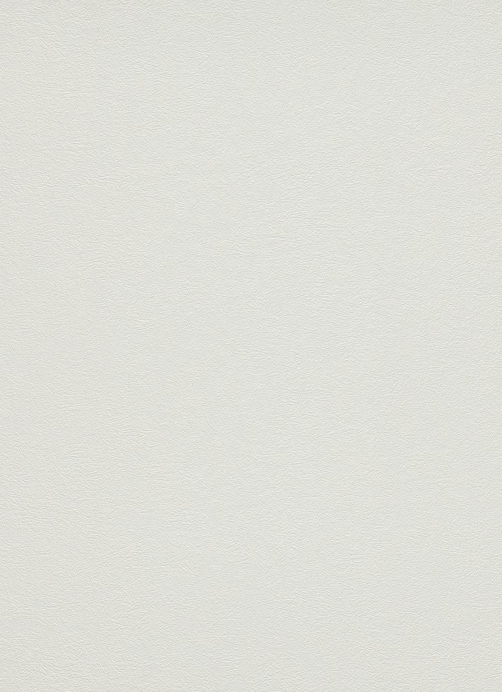 Erismann Vinyltapete Erismann Vinyltapete 9733-01 Flitter günstig online kaufen