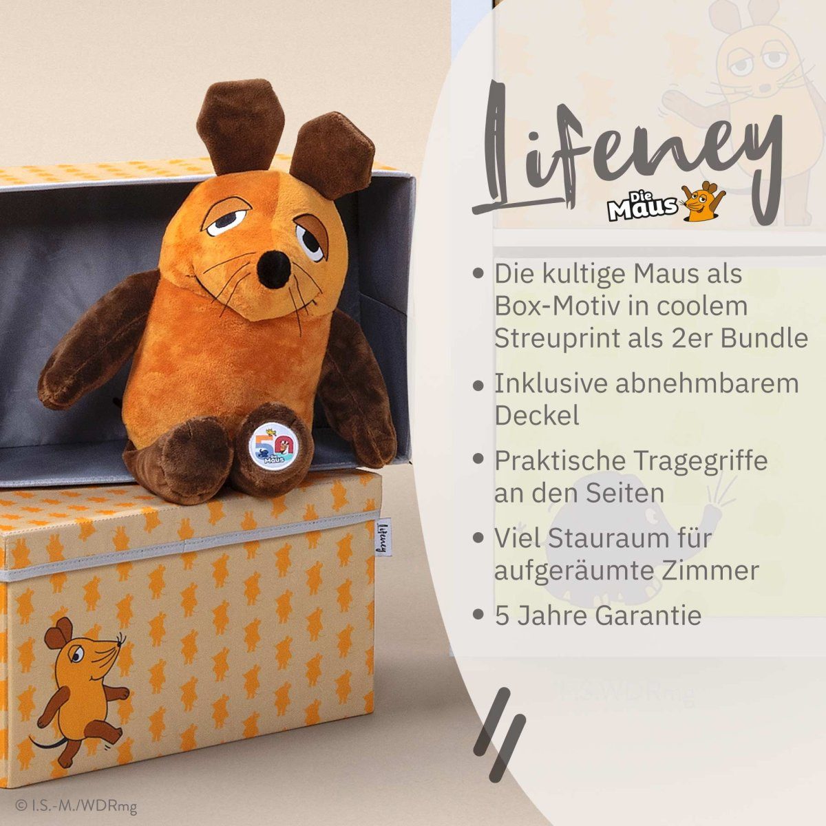 Lifeney Faltbox Aufbewahrungsbox, Stauraumbox, Box mit Deckel, Ordnungsbox