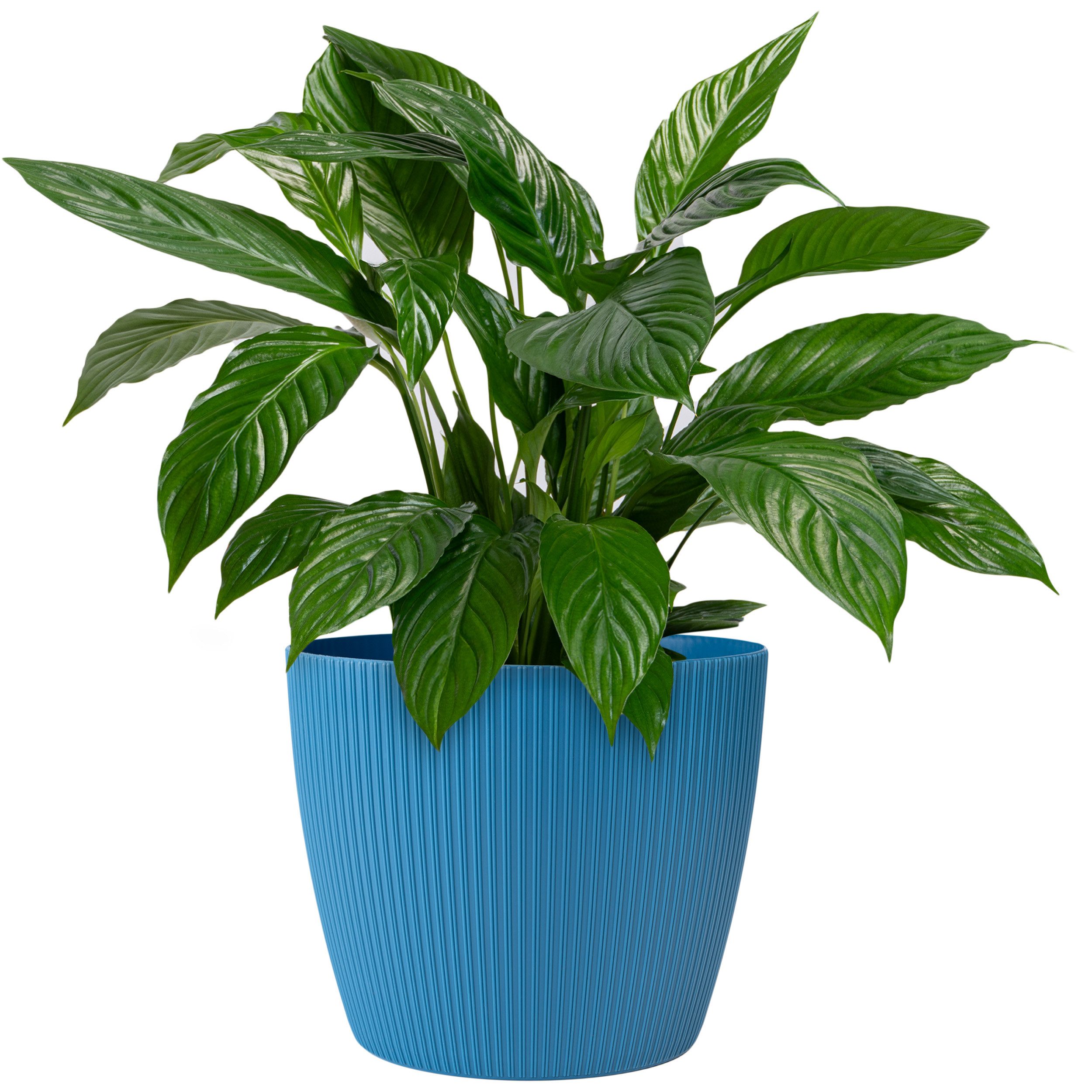 Blumentopf groß, gerillte Struktur 26/30cm, Übertöpfe für Zimmerpflanzen