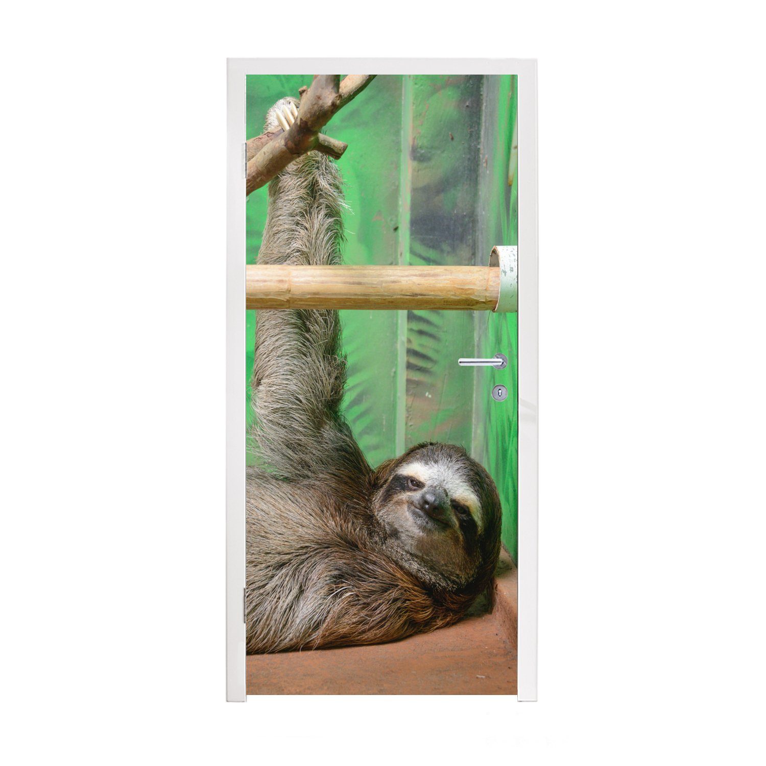 MuchoWow Türtapete Ein Faultier, das auf einem Tisch im Zoo liegt, Matt, bedruckt, (1 St), Fototapete für Tür, Türaufkleber, 75x205 cm