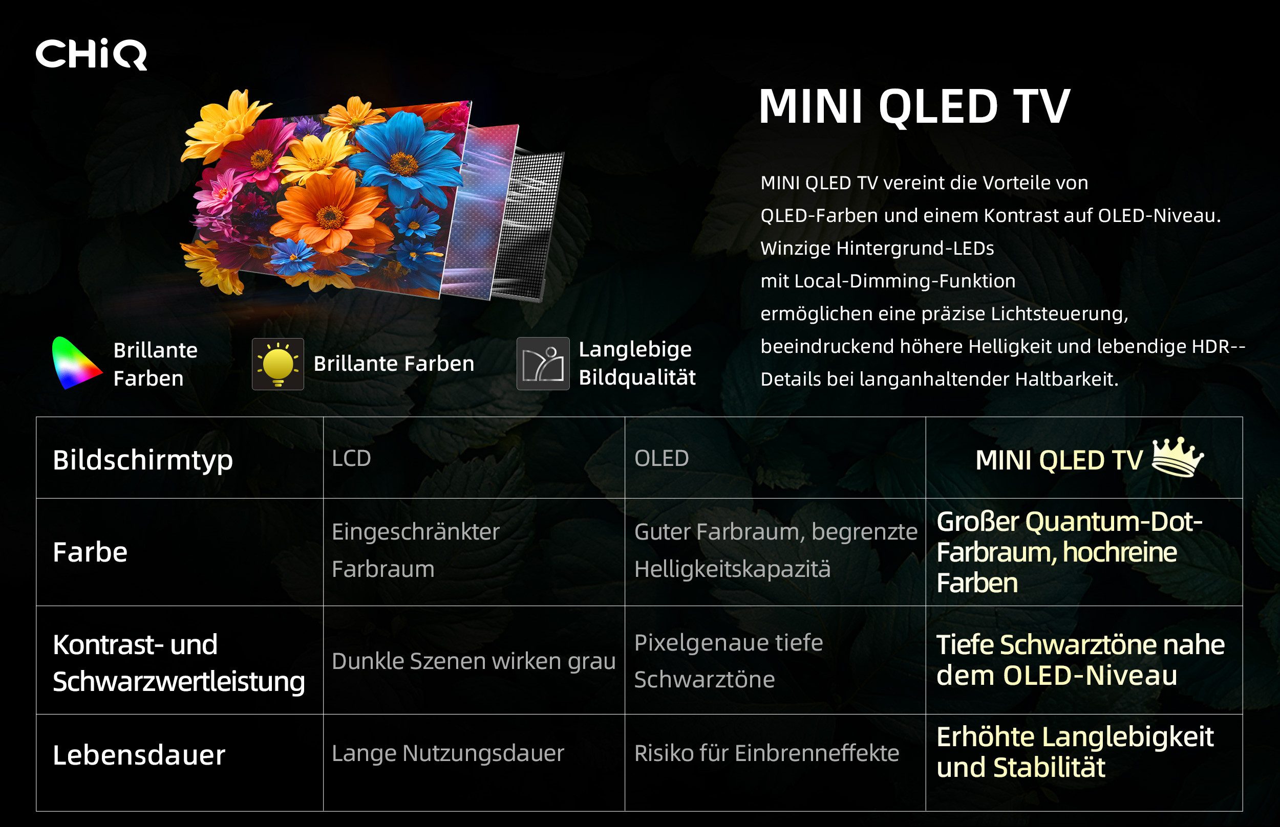 CHiQ M55QN9G Mini-LED-Fernseher (139 cm/55 Zoll, 4K Ultra HD, Google TV, DLG 120Hz, 95% DCI-P3-Farbgenauigkeit, Dolby Vision, Google Assistant)