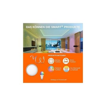 Ledvance LED-Leuchtmittel Smart Wifi LED E27 Lampe dimmbar Globe95 RGBW 14W Glühbirne, E27, 1 St., Lichtfarbe änderbar (2700-6500K), farbwechsel,2700-6500K