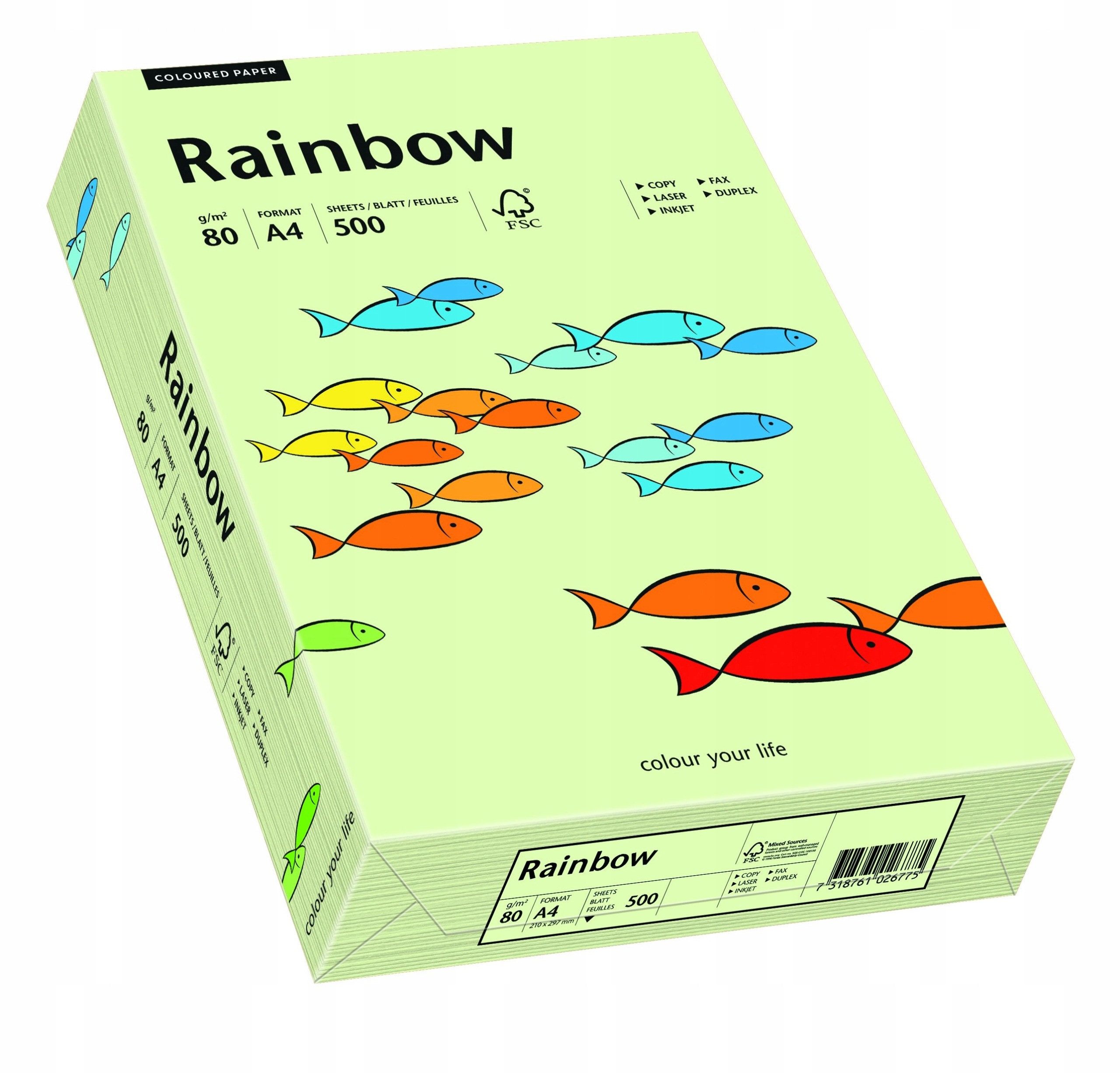 PAPYRUS Drucker- und Kopierpapier PAPYRUS Multifunktionspapier Rainbow A4 80 g/qm hellgrün