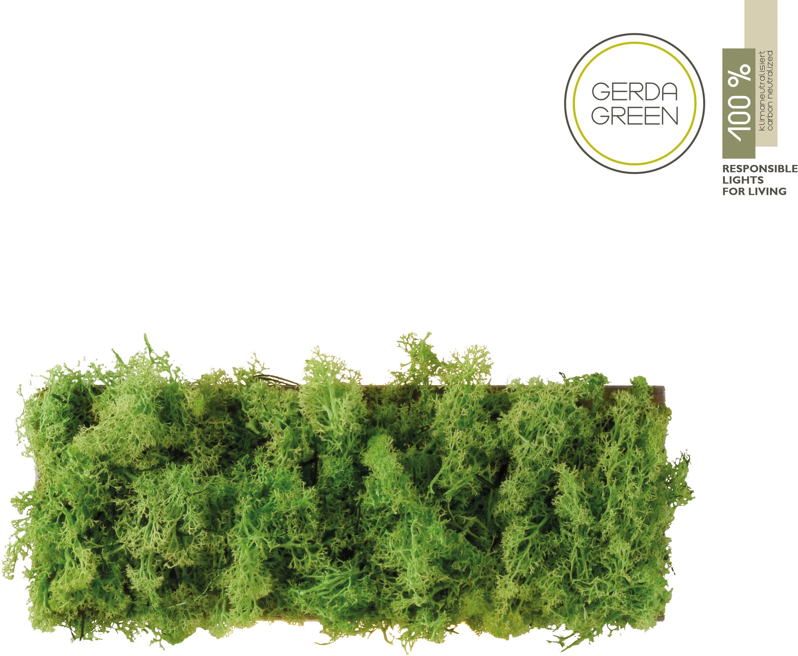 JUST LIGHT Wandleuchte GREEN CARL, LED wechselbar, Warmweiß günstig online kaufen