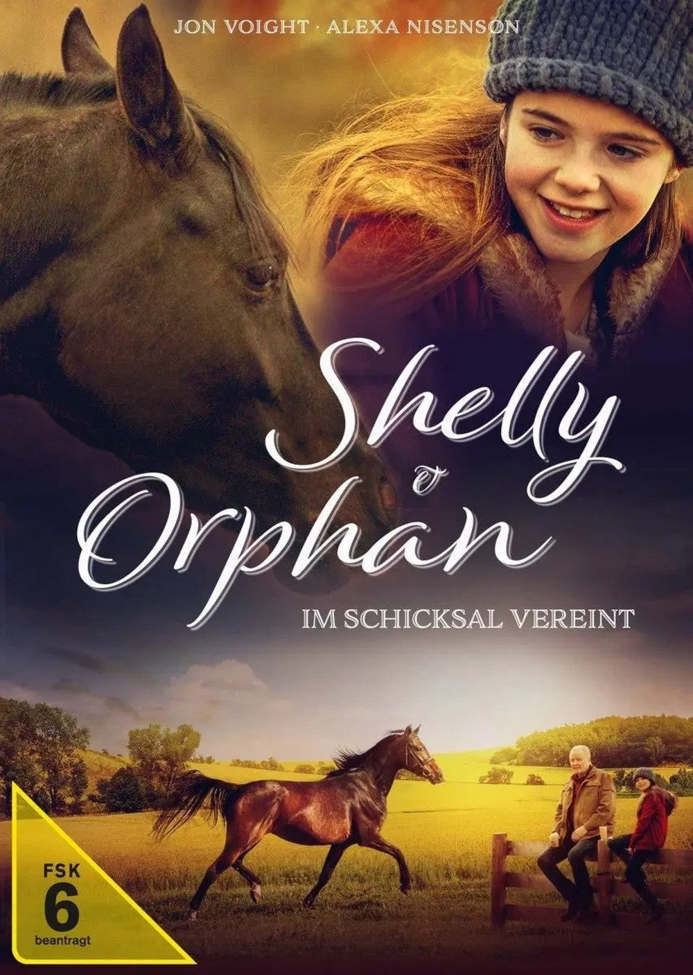 DVD Shelly und Orphan - Im Schicksal vereint