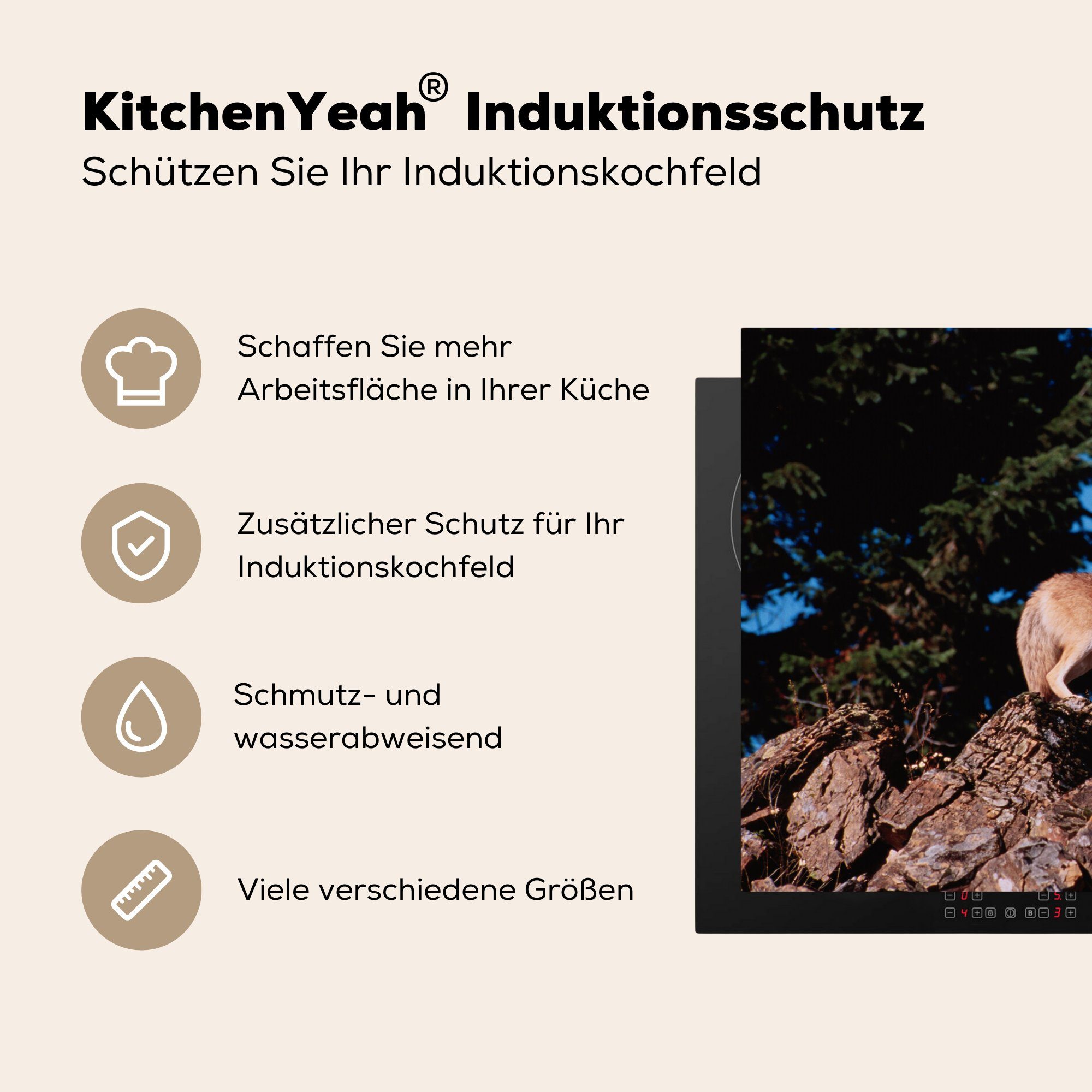 Schutz küche, - tlg), Herdblende-/Abdeckplatte MuchoWow Induktionskochfeld (1 Ceranfeldabdeckung Stein Braun, Wolf die 81x52 cm, für - Vinyl,