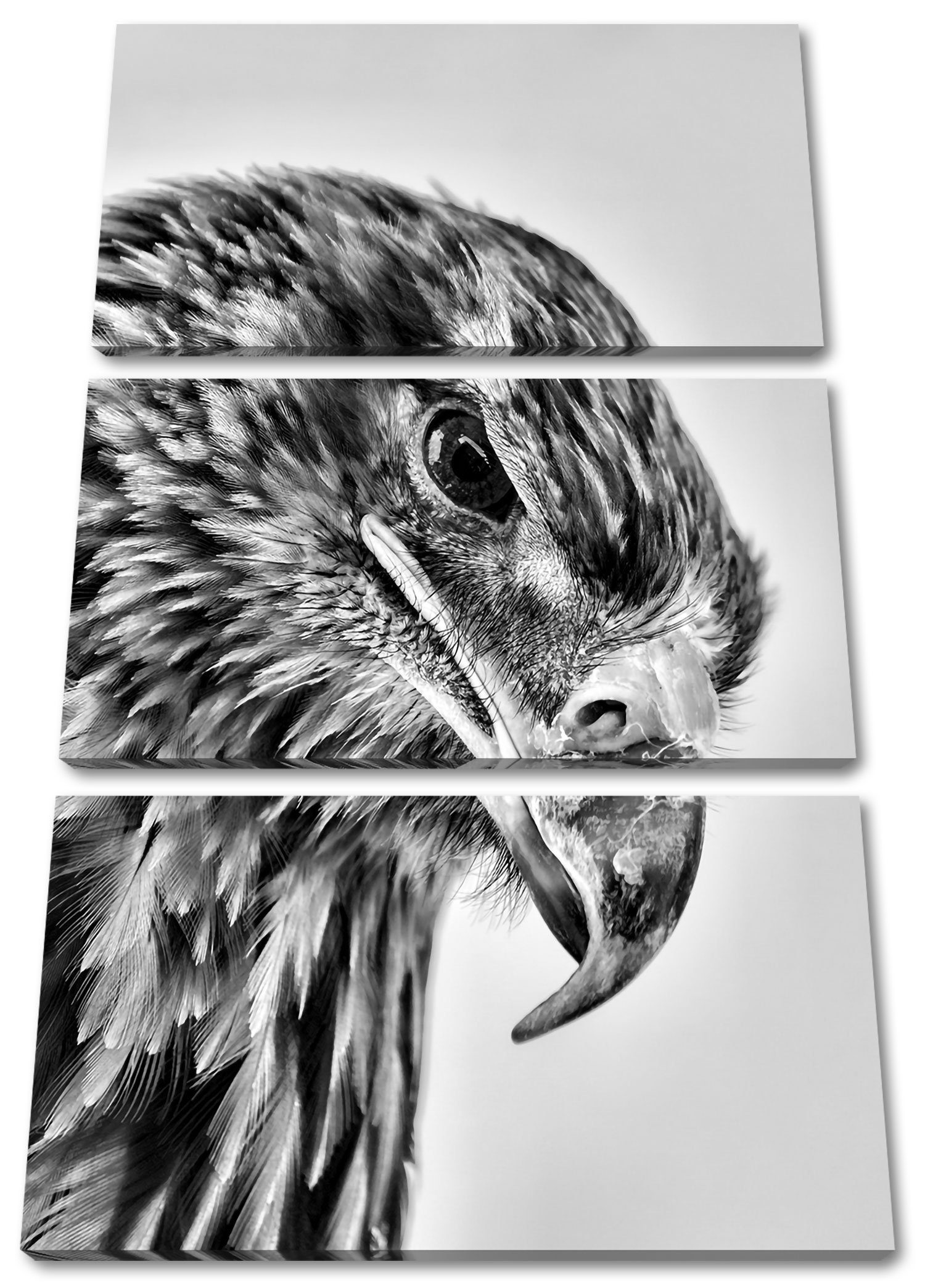 Pixxprint Leinwandbild Adler Porträt, Adler Porträt 3Teiler (120x80cm) (1 St), Leinwandbild fertig bespannt, inkl. Zackenaufhänger