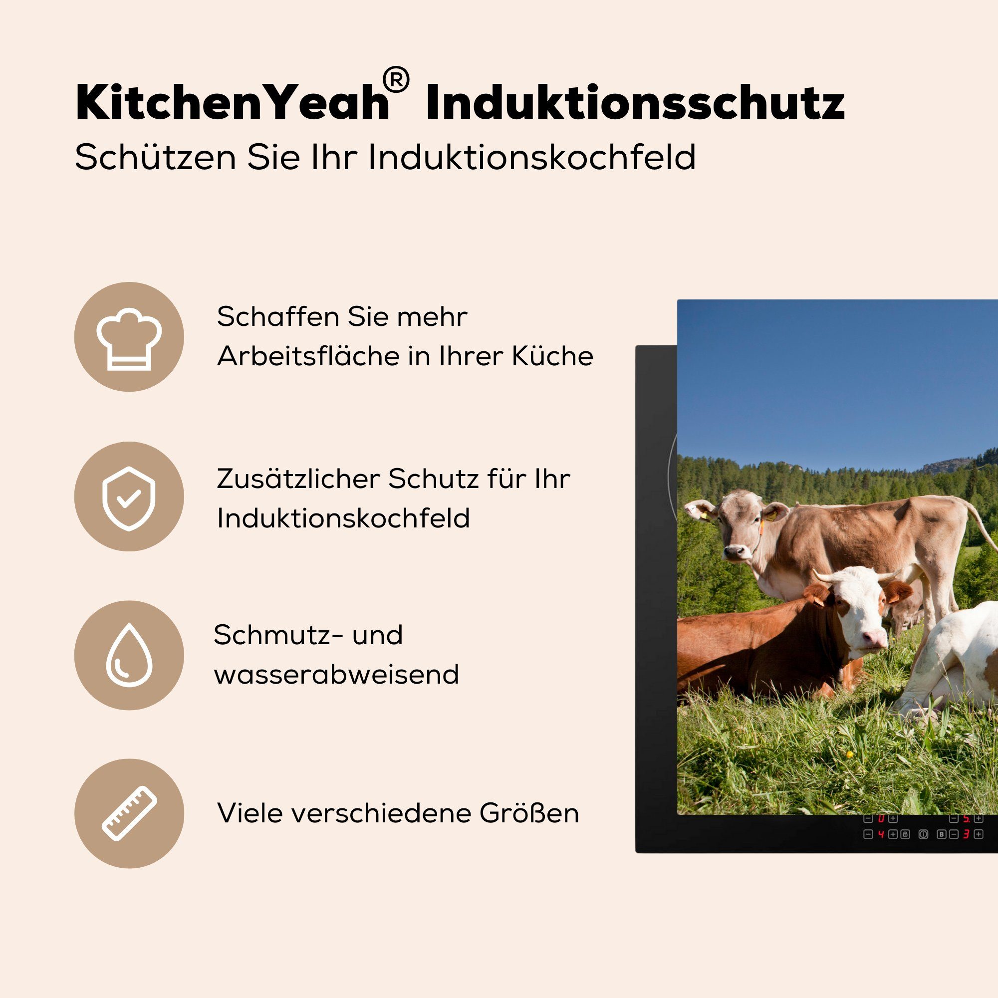 die für küche, Herdblende-/Abdeckplatte - MuchoWow Kühe cm, 81x52 Induktionskochfeld (1 Gras Schutz tlg), Ceranfeldabdeckung Vinyl, - Schweiz,