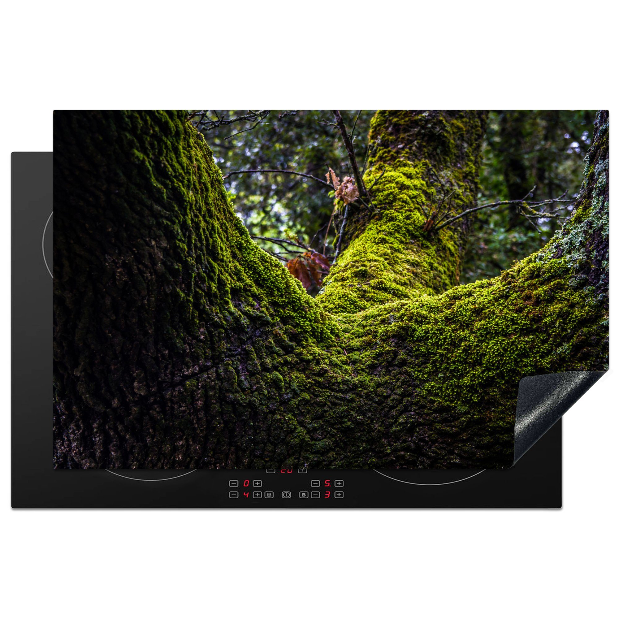 MuchoWow Herdblende-/Abdeckplatte Mit Moos bewachsener Baum, Vinyl, (1 tlg), 81x52 cm, Induktionskochfeld Schutz für die küche, Ceranfeldabdeckung