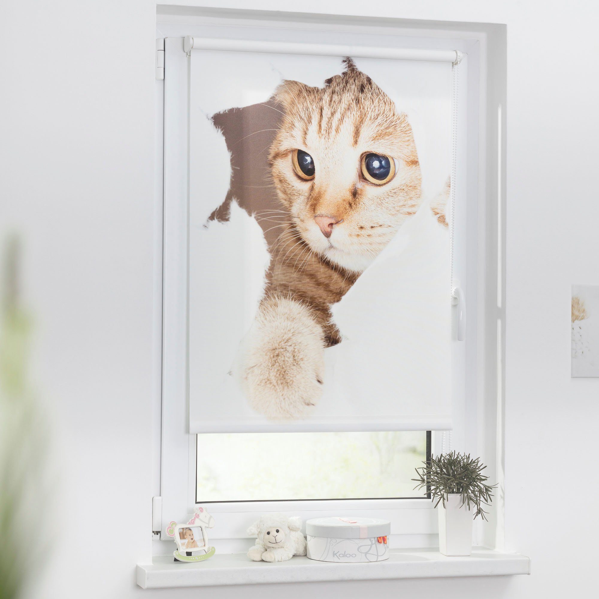 Diese Woche im Sonderangebot Seitenzugrollo Klemmfix Digital Katze, LICHTBLICK ohne freihängend, ORIGINAL, bedruckt Bohren, verdunkelnd, Klemmfix