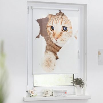 Seitenzugrollo Klemmfix Digital Katze, LICHTBLICK ORIGINAL, verdunkelnd, ohne Bohren, freihängend, Klemmfix, bedruckt