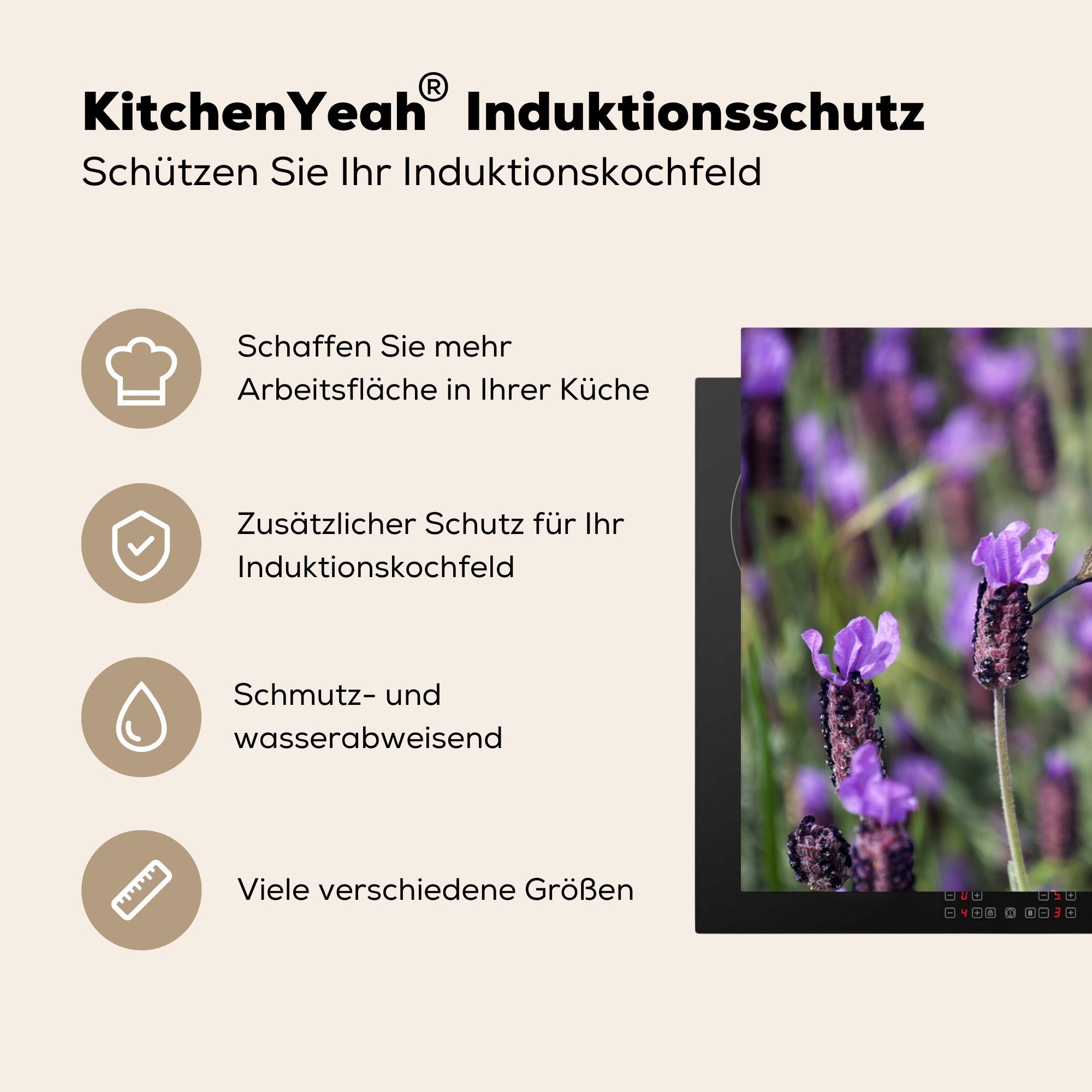 cm, Lavendel für Blumen, Induktionskochfeld (1 Vinyl, 81x52 küche, - Ceranfeldabdeckung MuchoWow Herdblende-/Abdeckplatte die - Vogel tlg), Schutz