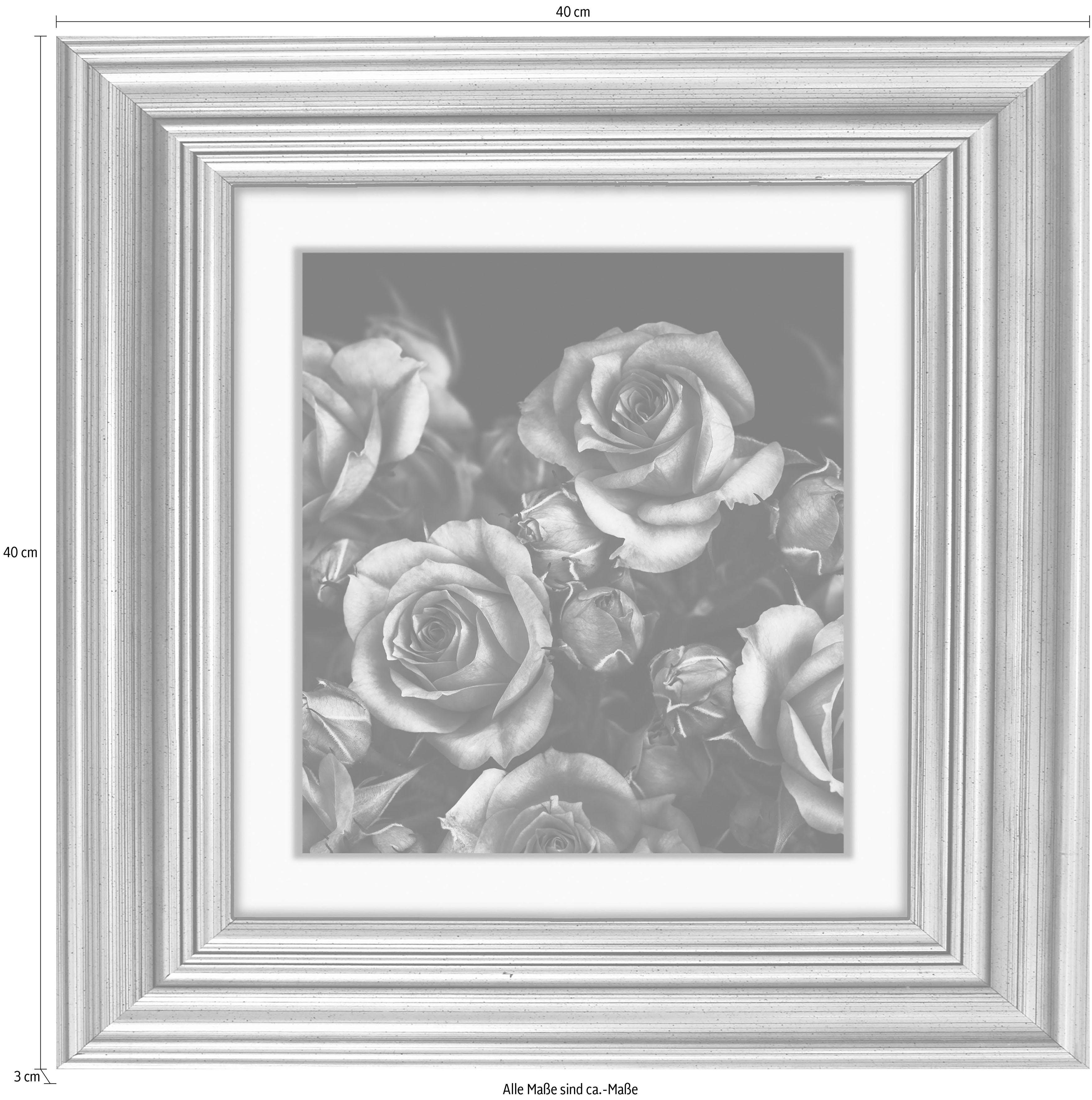 queence Acrylglasbild Rosen Blüten