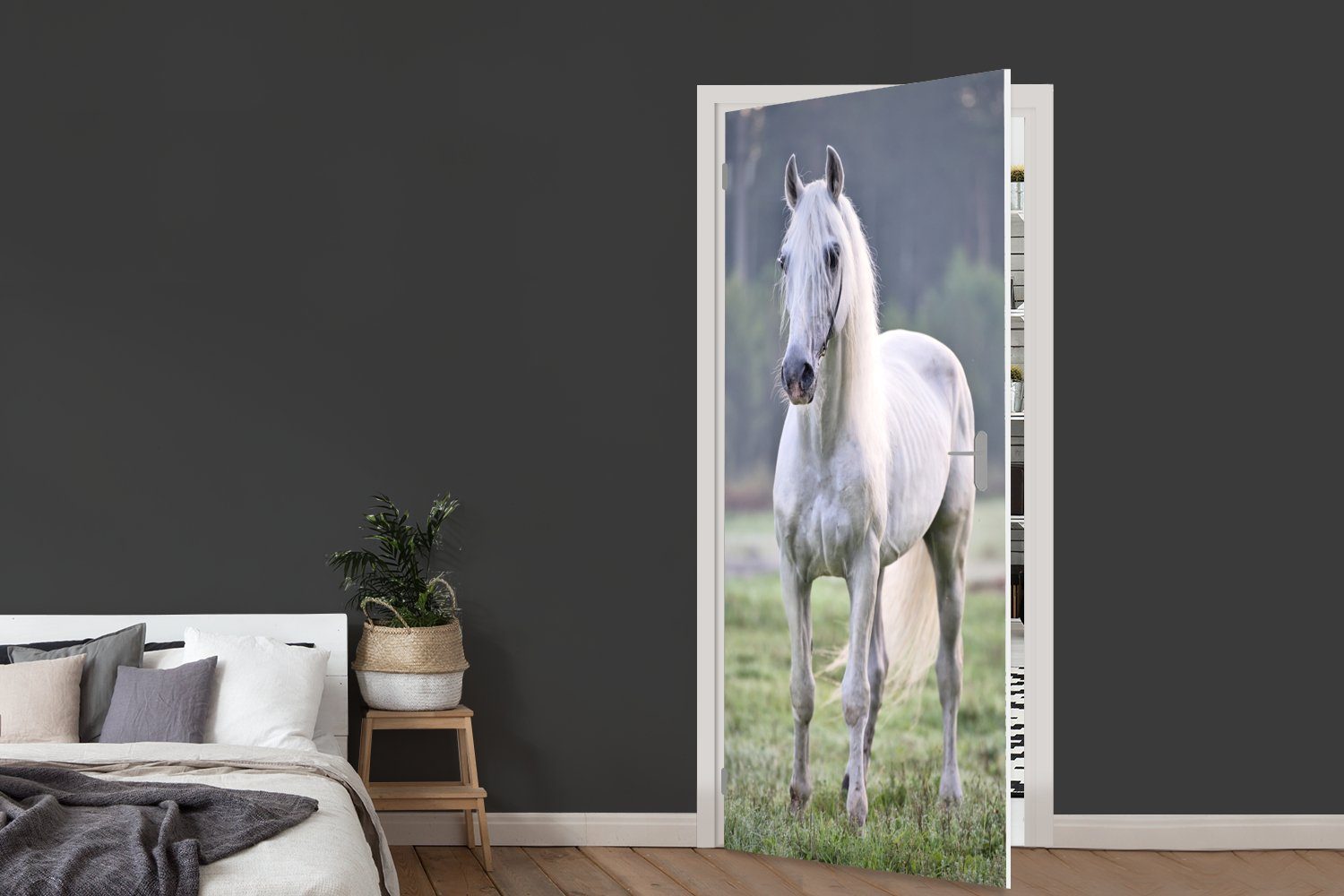 MuchoWow Türtapete Pferd - (1 cm Matt, - Morgen, 75x205 für Türaufkleber, St), Licht Tür, Fototapete bedruckt