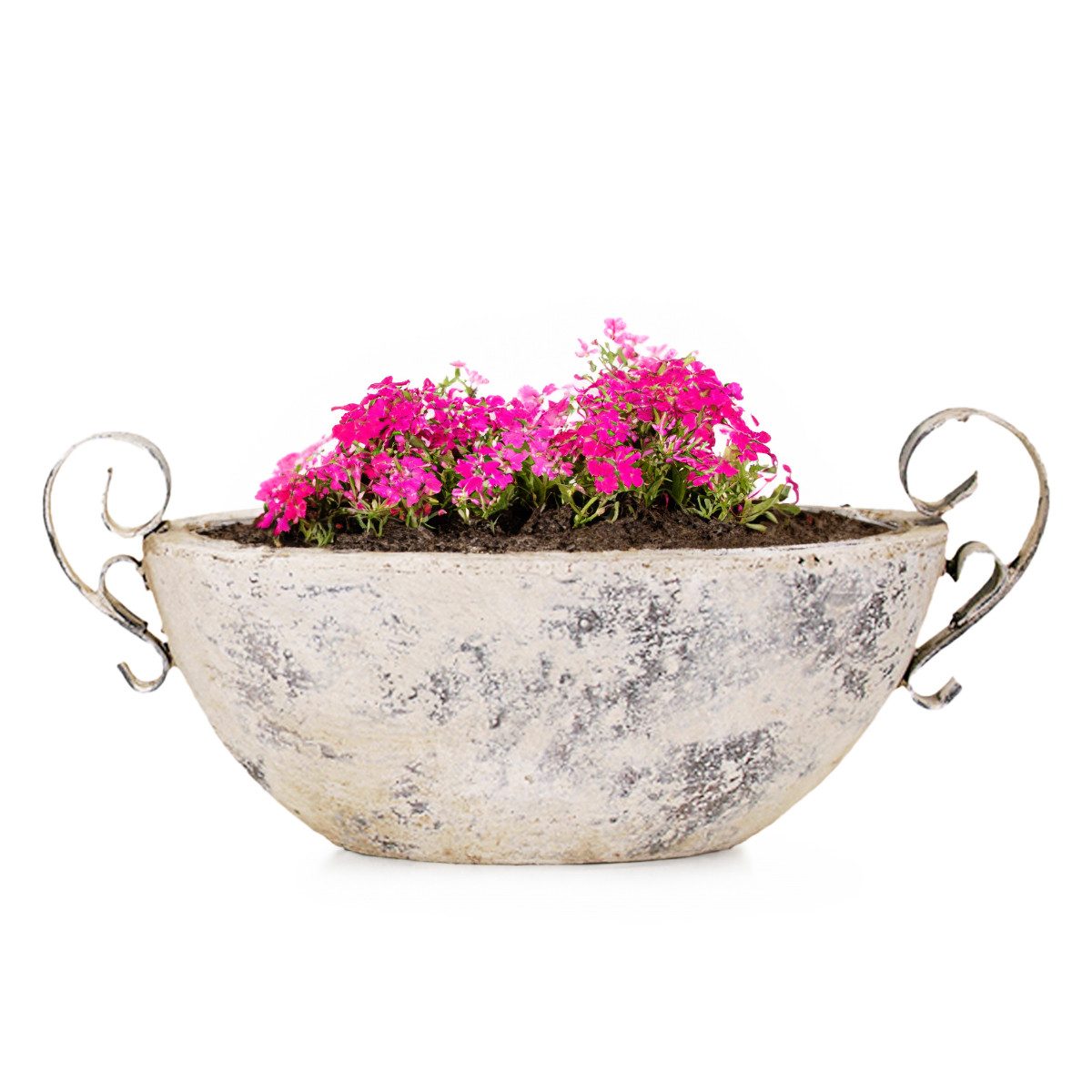 matches21 HOME & HOBBY Blumentopf Keramik Pflanzschale für draussen oval De günstig online kaufen