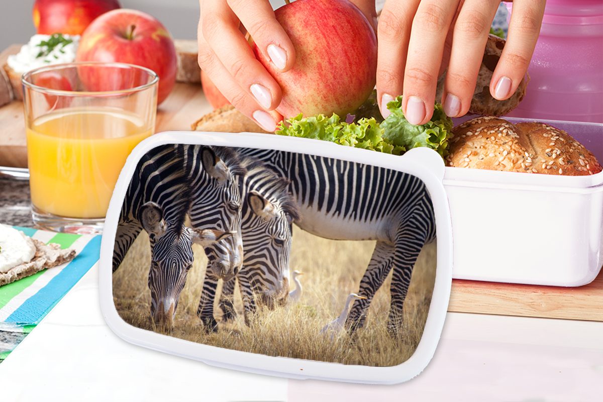 für Kunststoff, Kinder - weiß Lunchbox MuchoWow Jungs - Zebra Brotbox Weiden Erwachsene, Safari, und für (2-tlg), und Brotdose, Mädchen