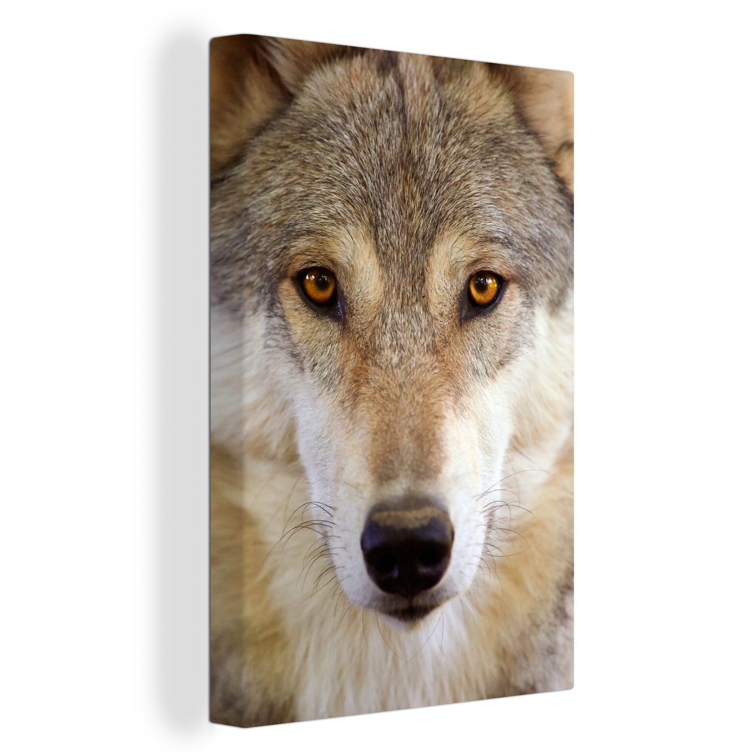 OneMillionCanvasses® Leinwandbild Wolf - Tiere - Braun, (1 St), Leinwandbild fertig bespannt inkl. Zackenaufhänger, Gemälde, 20x30 cm