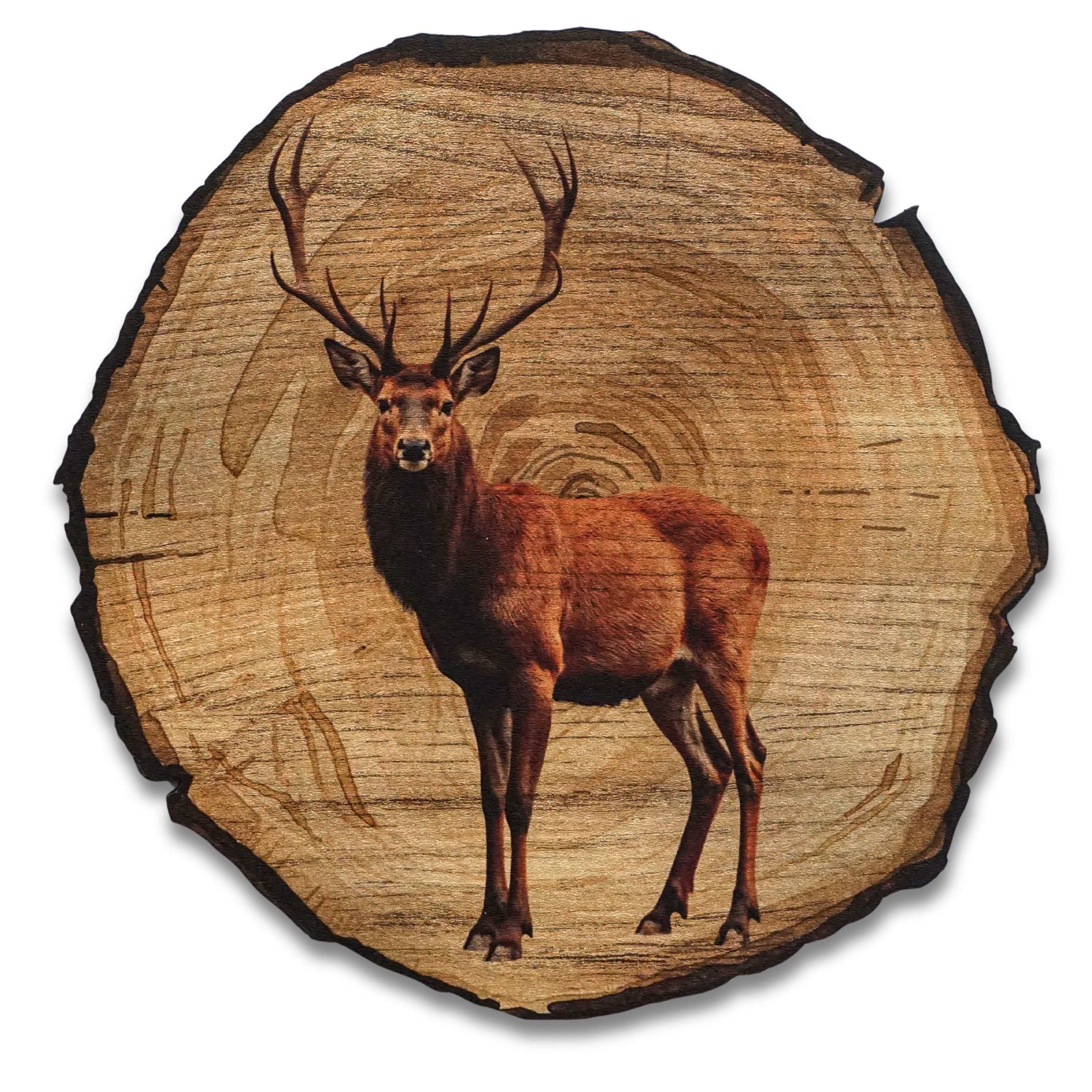 DARO Design Leinwandbild Modern Abstrakt Wandbilder XXL Wandbild Wand Deko Leinwand Bilder, (Hirsch - Bild groß Wohnzimmer Schlafzimmer Küche Esszimmer Einteilig Rund Fotodruck Leinwände Wanddeko Abstrakte Kunst Boho), Ø20cm