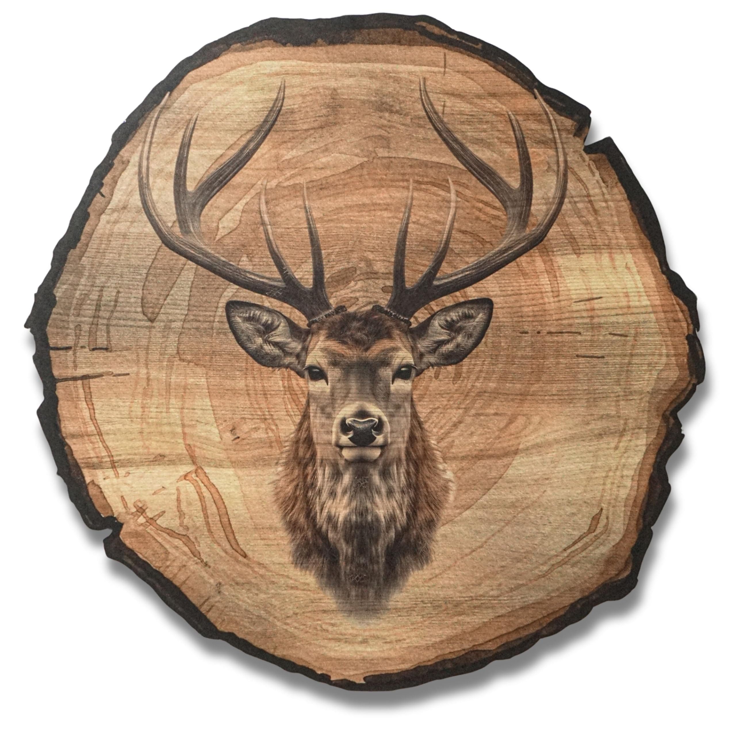 DARO Design Wandbild Wildtiere Jagd Wandbilder Wand Deko Bilder Natur, (Hirsch - Bild klein Wohnzimmer Flur Arbeitszimmer Schlafzimmer Diele Einteilig Rund Fotodruck Jagd & Wildtiere), 20cm