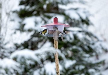 PLASTIA Vogelhaus Futterhaus "Finch" Ø 28,5 cm H: 17 cm weinrotes Dach Boden anthrazit