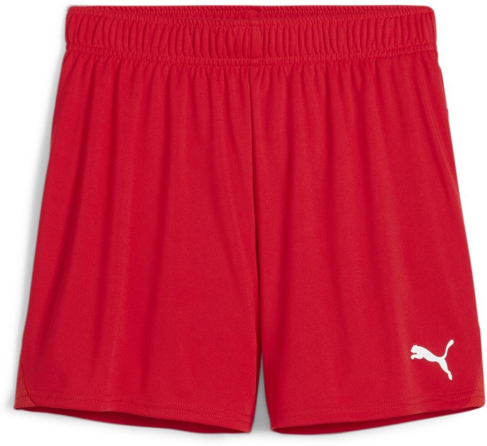 PUMA Sporthose TeamGoal Handball Shorts W
