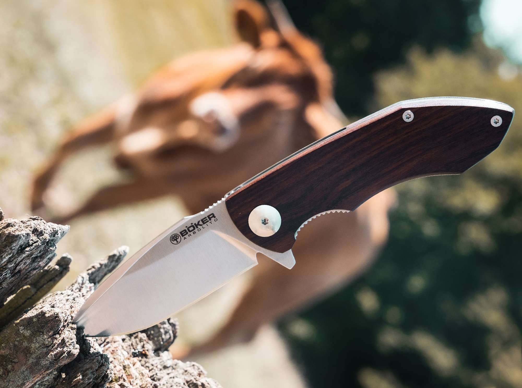 Böker Arbolito Universalmesser Böker Arbolito Folder Nahuel Guayacan