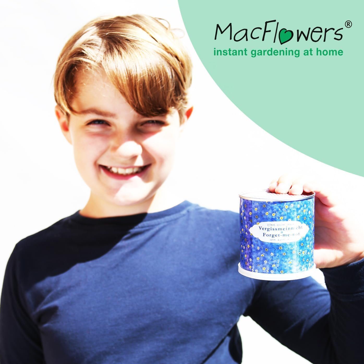 MacFlowers® Anzuchttopf Vergissmeinnicht in der Blumendose günstig online kaufen