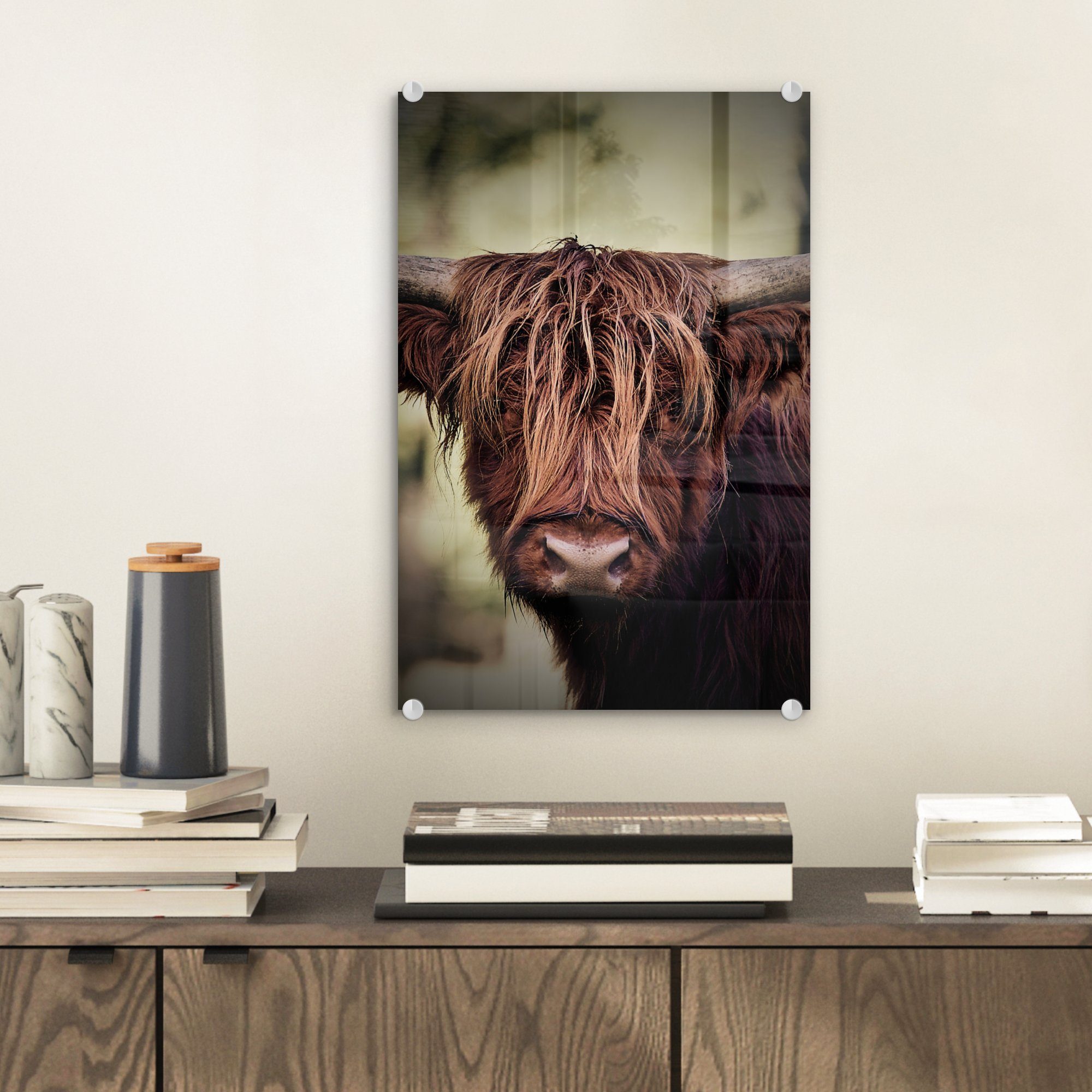 MuchoWow Acrylglasbild Schottischer Hochländer - Licht günstig online kaufen