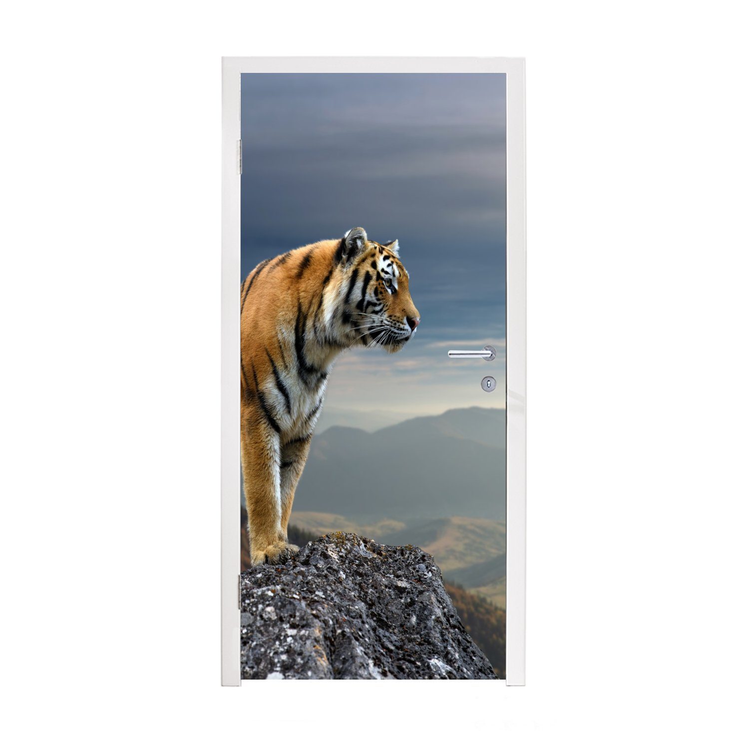 MuchoWow Türtapete Tiger - Berg - Natur - Landschaft, Matt, bedruckt, (1 St), Fototapete für Tür, Türaufkleber, 75x205 cm | Türtapeten