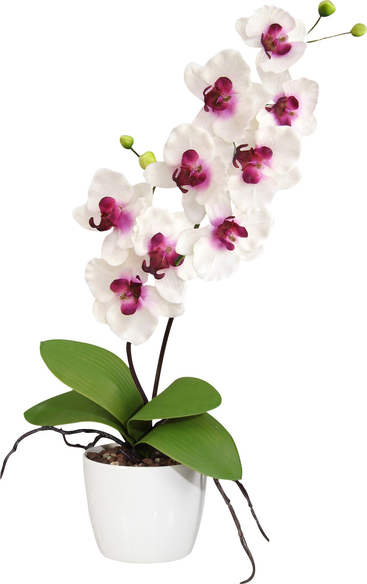Kunstpflanze Orchidee Kunstpflanze