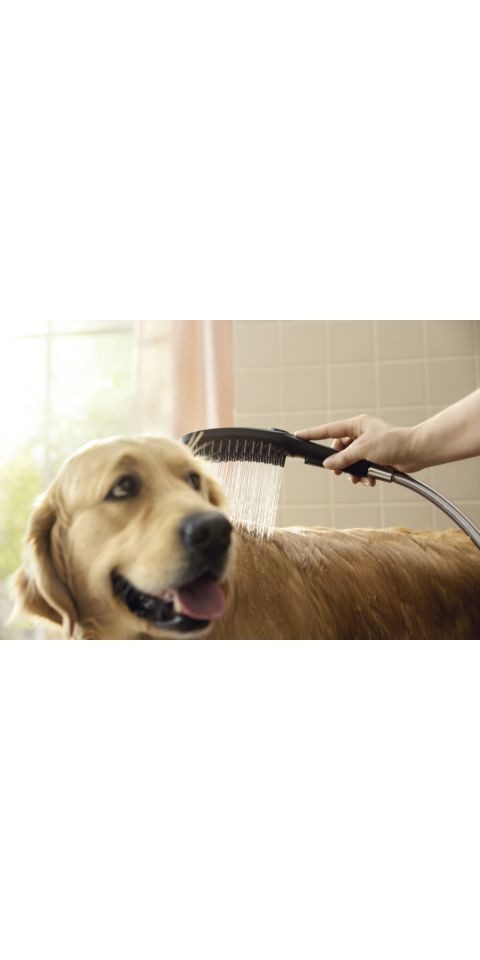 hansgrohe Handbrause