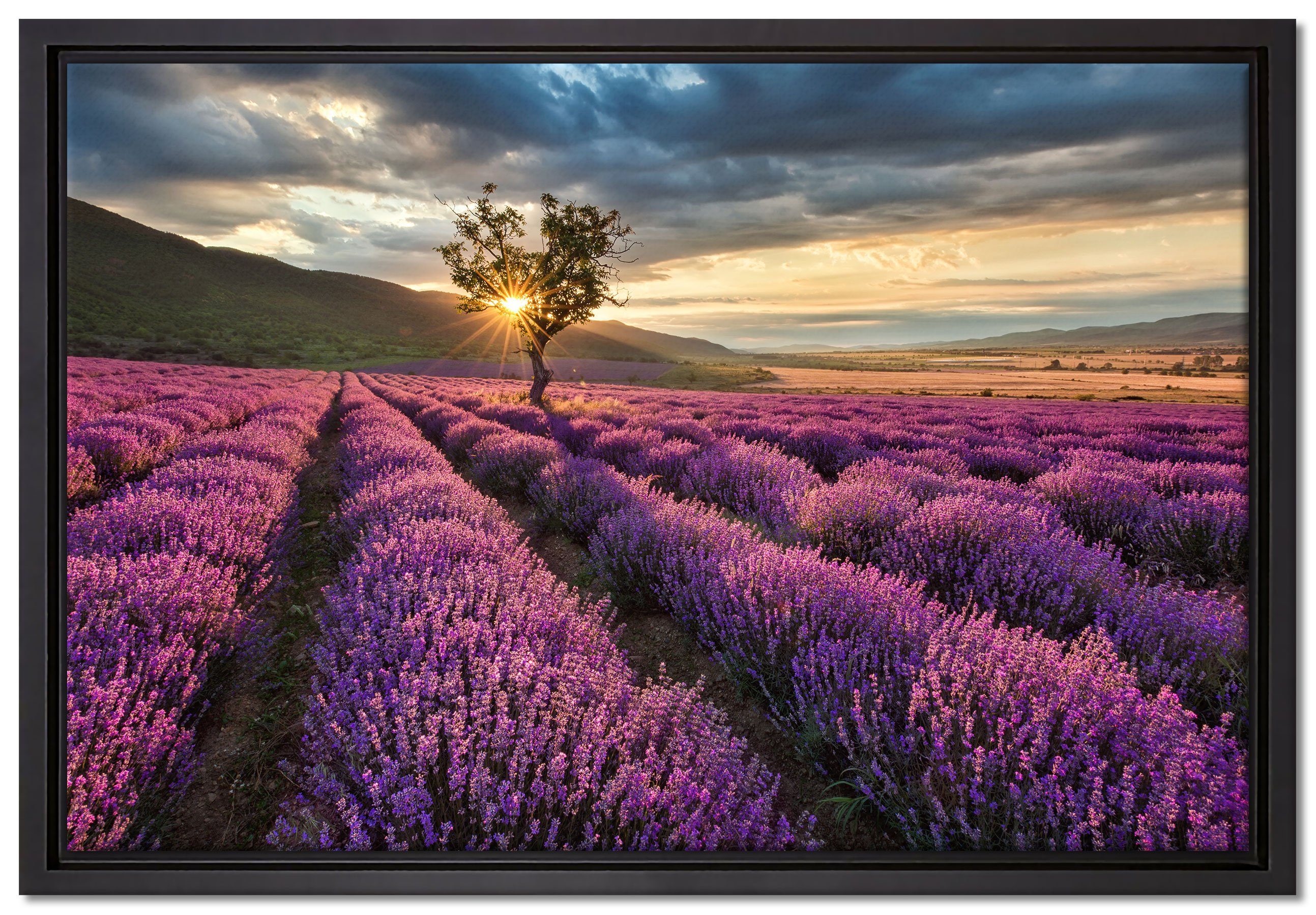 Pixxprint Leinwandbild Lavendel Provence mit Baum, Wanddekoration (1 St), Leinwandbild fertig bespannt, in einem Schattenfugen-Bilderrahmen gefasst, inkl. Zackenaufhänger