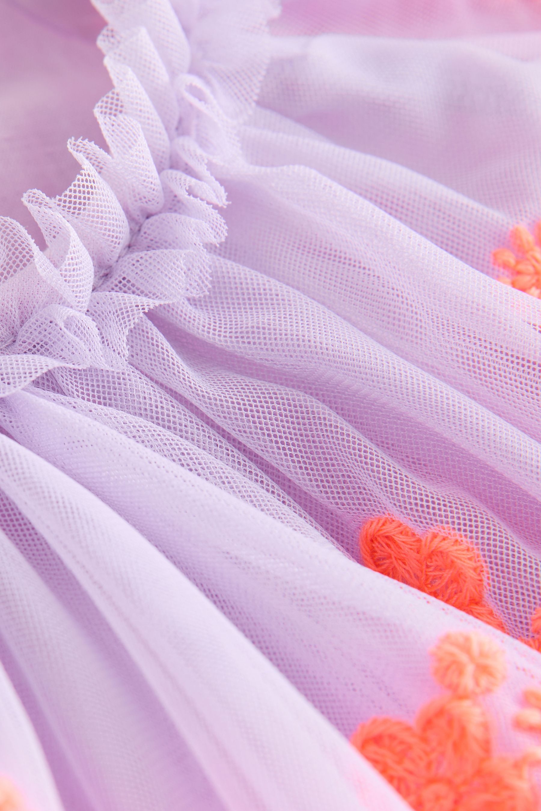Next Meshkleid Meshkleid mit Engelsärmeln (1-tlg)