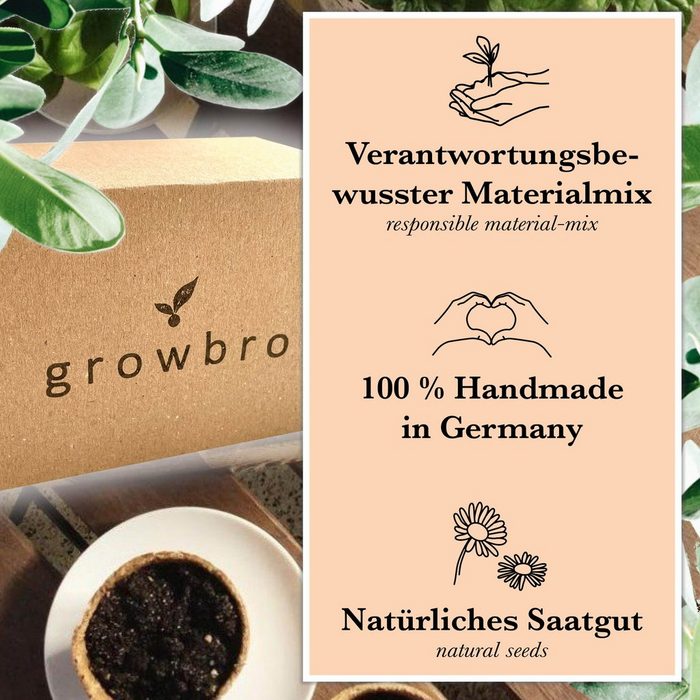Kunstbonsai Bonsai – growbro - Wisteria Anzuchtset - Geschenke für ...