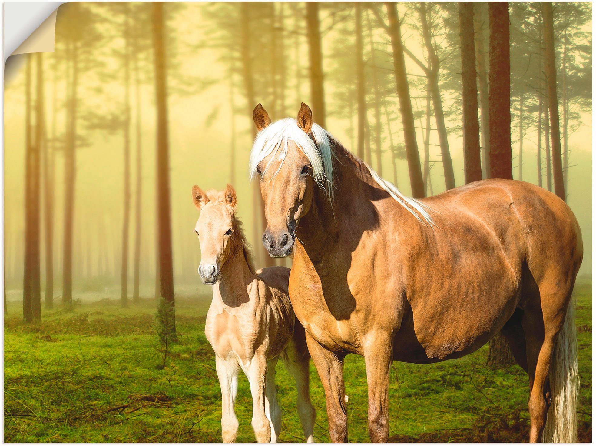 Artland Wandbild Pferde in den Feldern II, Haustiere (1 St), als Alubild, Leinwandbild, Wandaufkleber oder Poster in versch. Größen
