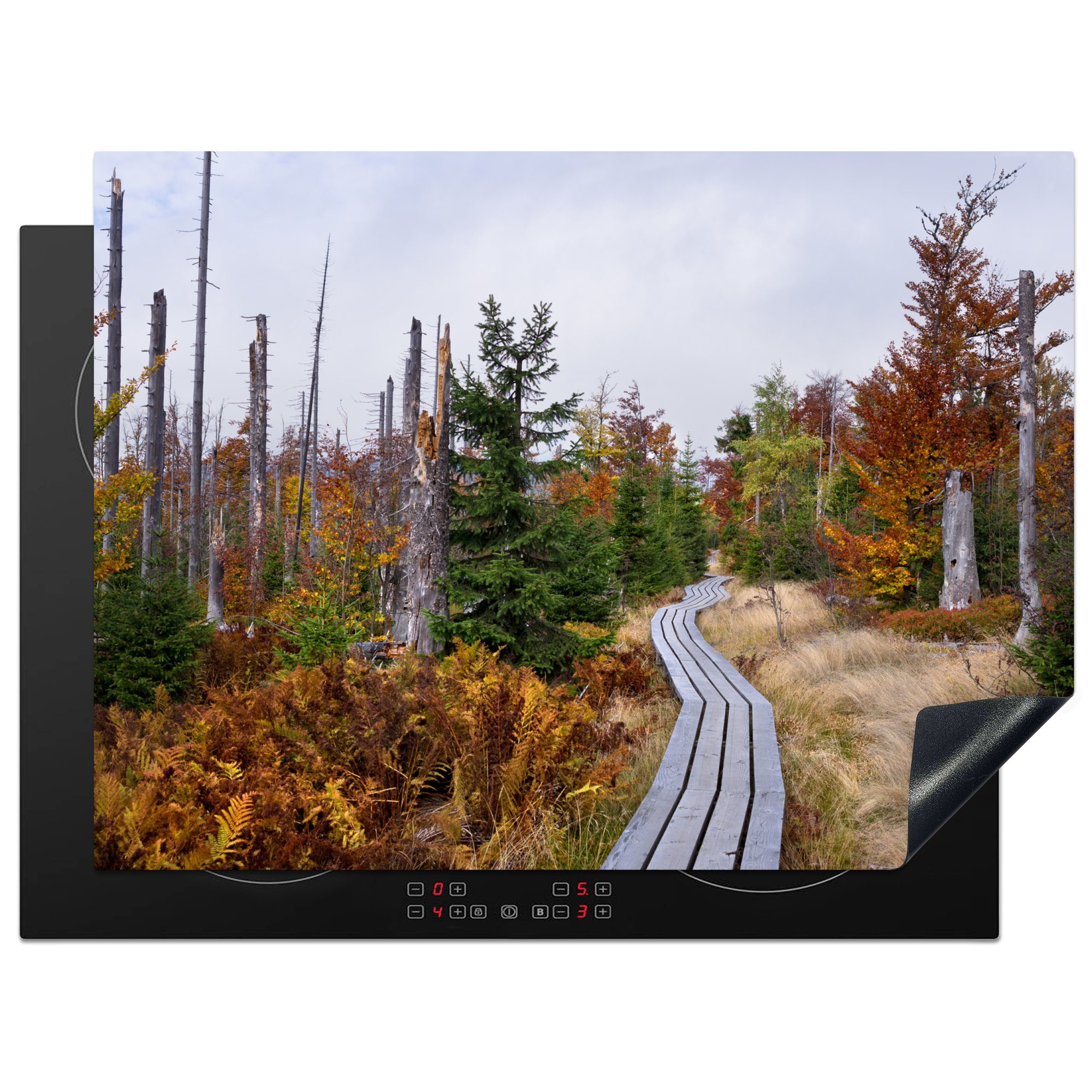 MuchoWow Herdblende-/Abdeckplatte Holzsteg durch die Natur im Nationalpark Bayerischer Wald, Vinyl, (1 tlg), 70x52 cm, Mobile Arbeitsfläche nutzbar, Ceranfeldabdeckung