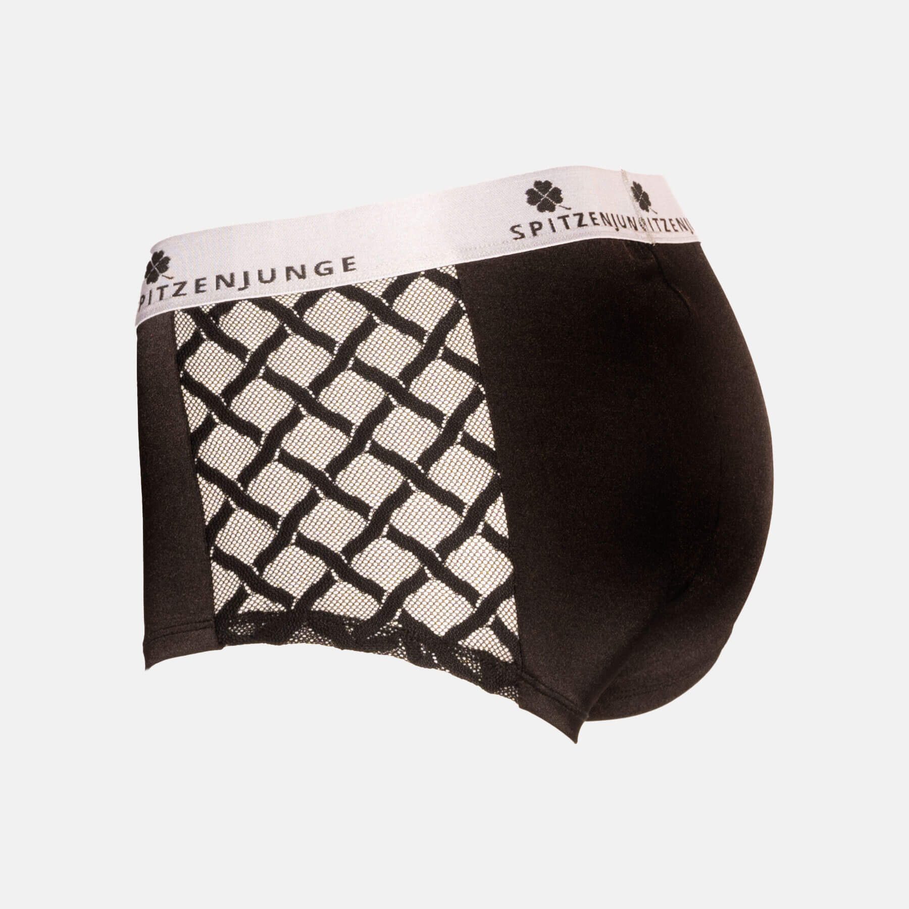 SPITZENJUNGE Boxer Sascha