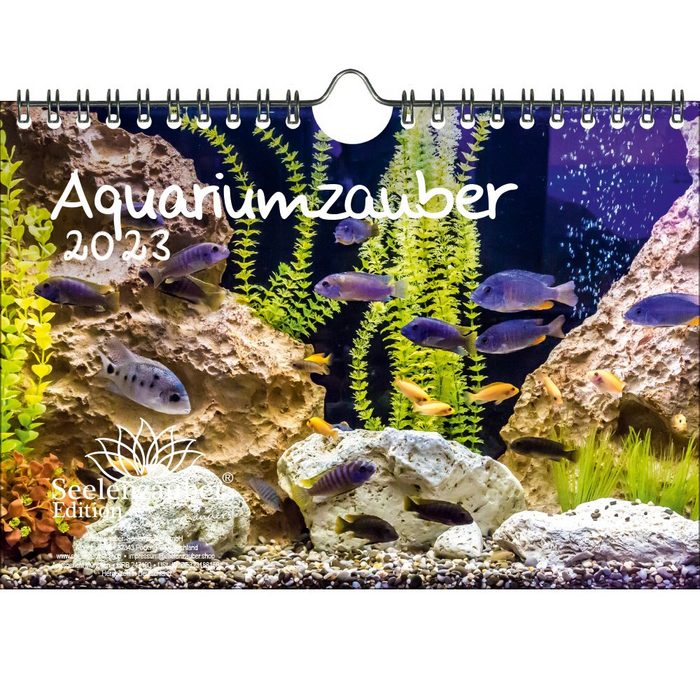 Seelenzauber Wandkalender Aquariumzauber DIN A5 Wandkalender für 2023 Tiere im Aquarium und