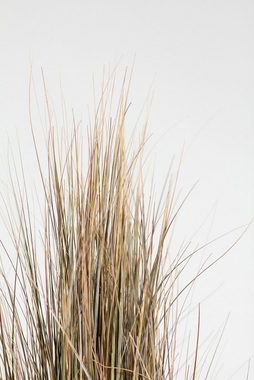 Kunstpflanze Zwiebelgras Kunstpflanze, dicht gewachsen, 60 cm, rot/grün, fleur ami, Höhe 60 cm