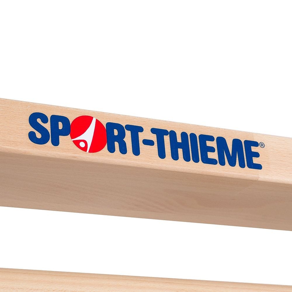 Sport-Thieme Sprossenwand Turnwand-Einzelelement TuWa Sprossenwand nach DIN, Sprossenwand-Element nach DIN-Vorgaben