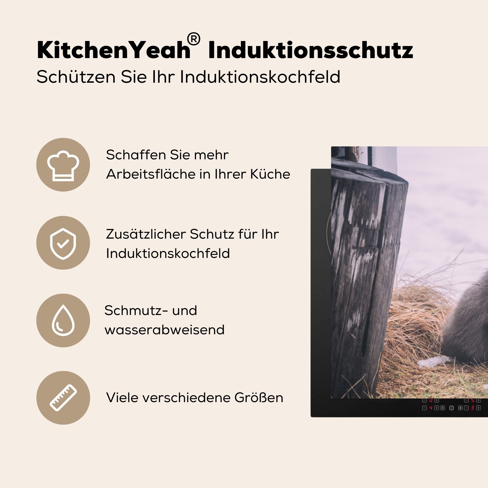 (1 - Vinyl, für Ceranfeldabdeckung - tlg), 81x52 küche, Schutz MuchoWow Schnee, Induktionskochfeld Grau die Fuchs cm, Herdblende-/Abdeckplatte