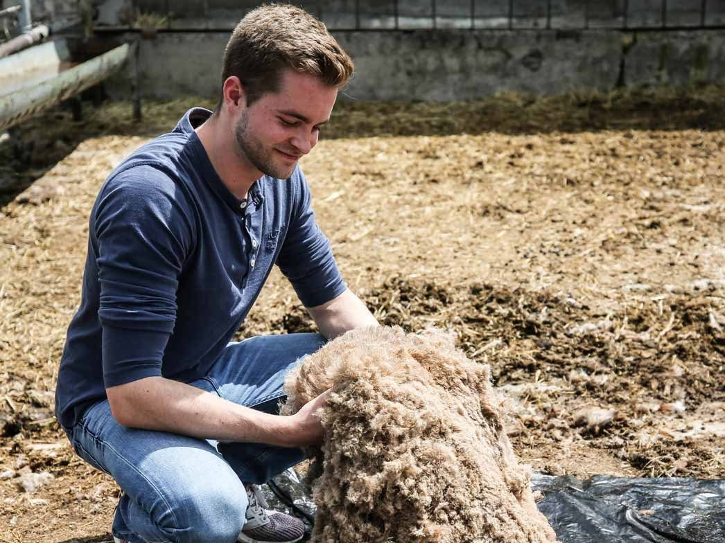 WoolFit Einlegesohlen Filz-EVA Einlegesohlen 1cm dick, ungefärbte Naturwolle, Decksohle aus 100% Wollfilz mit einer extra weichen EVA-Schicht
