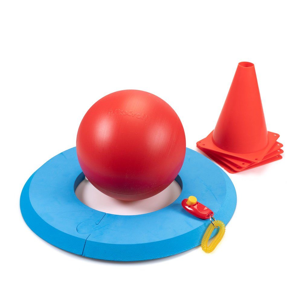 Outdoor-Spielzeug PROCYON Dog Golf Set