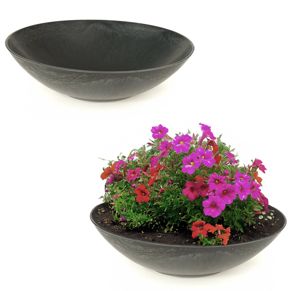 matches21 HOME & HOBBY Blumentopf Pflanzschalen günstig online kaufen