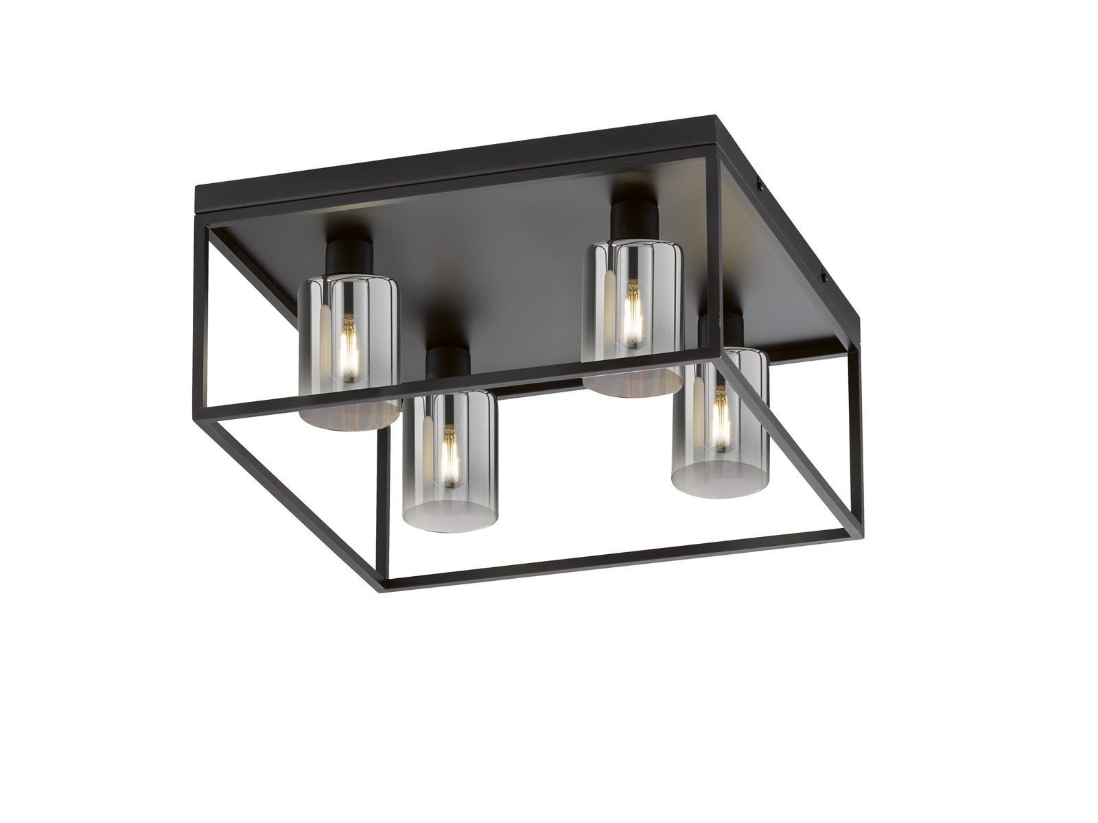 FISCHER & HONSEL LED Deckenleuchte, LED günstig online kaufen