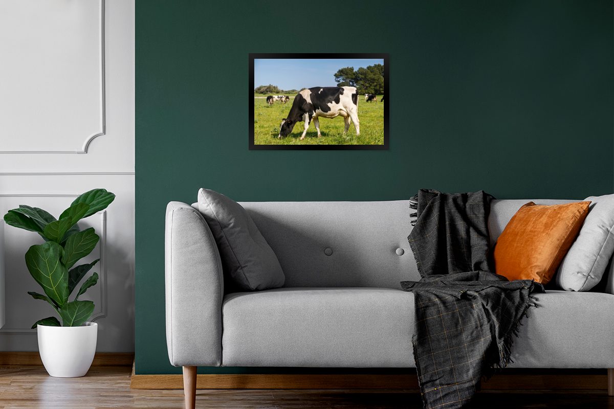 MuchoWow Poster Kuh - Bilder, Bilderrahmen Schwarzem Tiere Wandposter, Wanddeko, Gras - Poster, Gerahmtes St), Wald, (1 