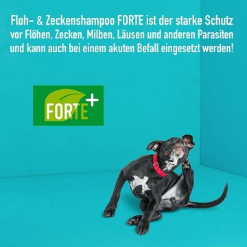 GreenHero Tiershampoo Floh- und Zeckenshampoo FORTE mit EC-Öl Zeckenschutz, 250 ml, Schützt vor Zecken, Flöhen, Milben, Läusen & Parasiten