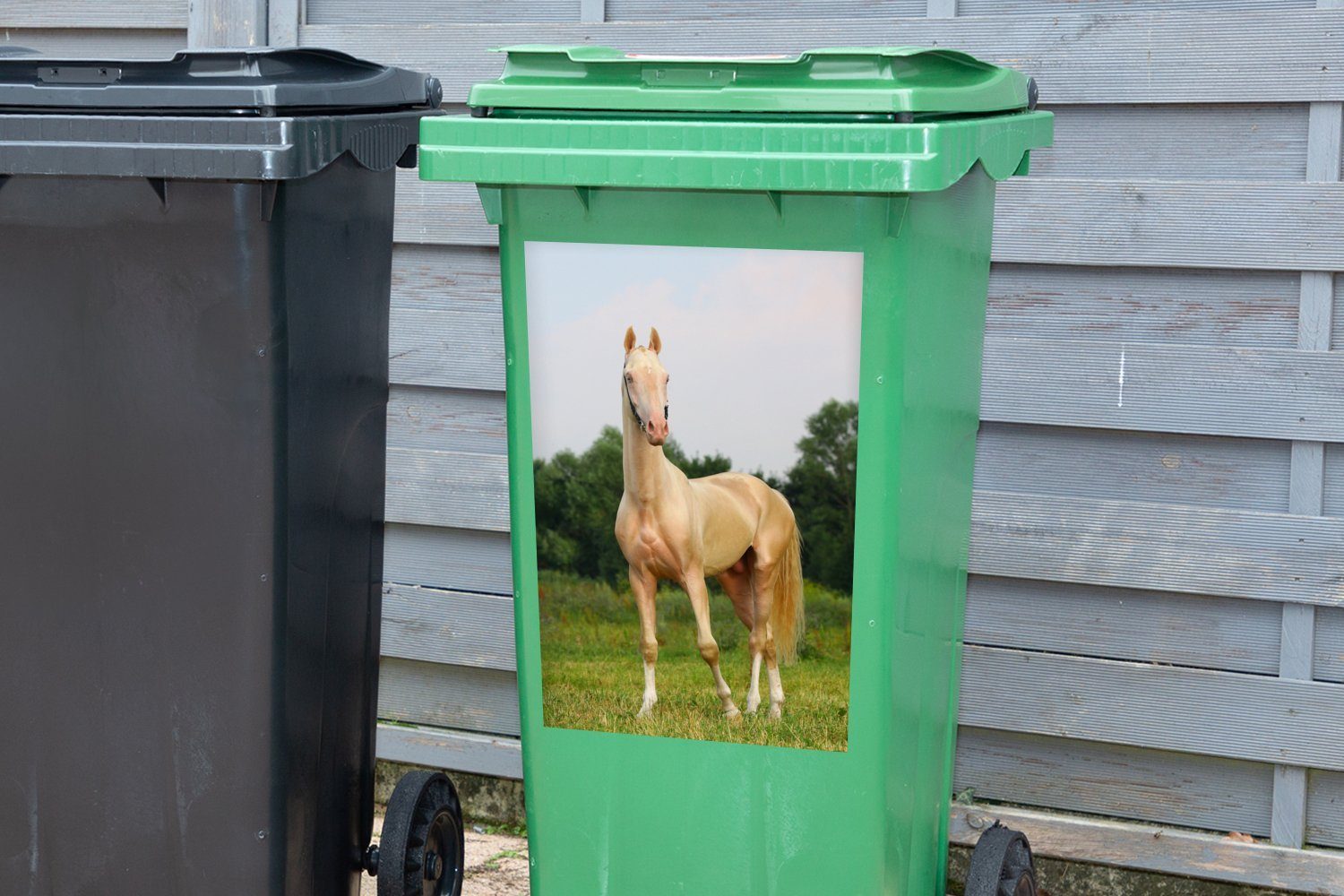 Container, Wandsticker - Sticker, Farben (1 Mülleimer-aufkleber, - MuchoWow Pferde Gras Abfalbehälter Mülltonne, St),