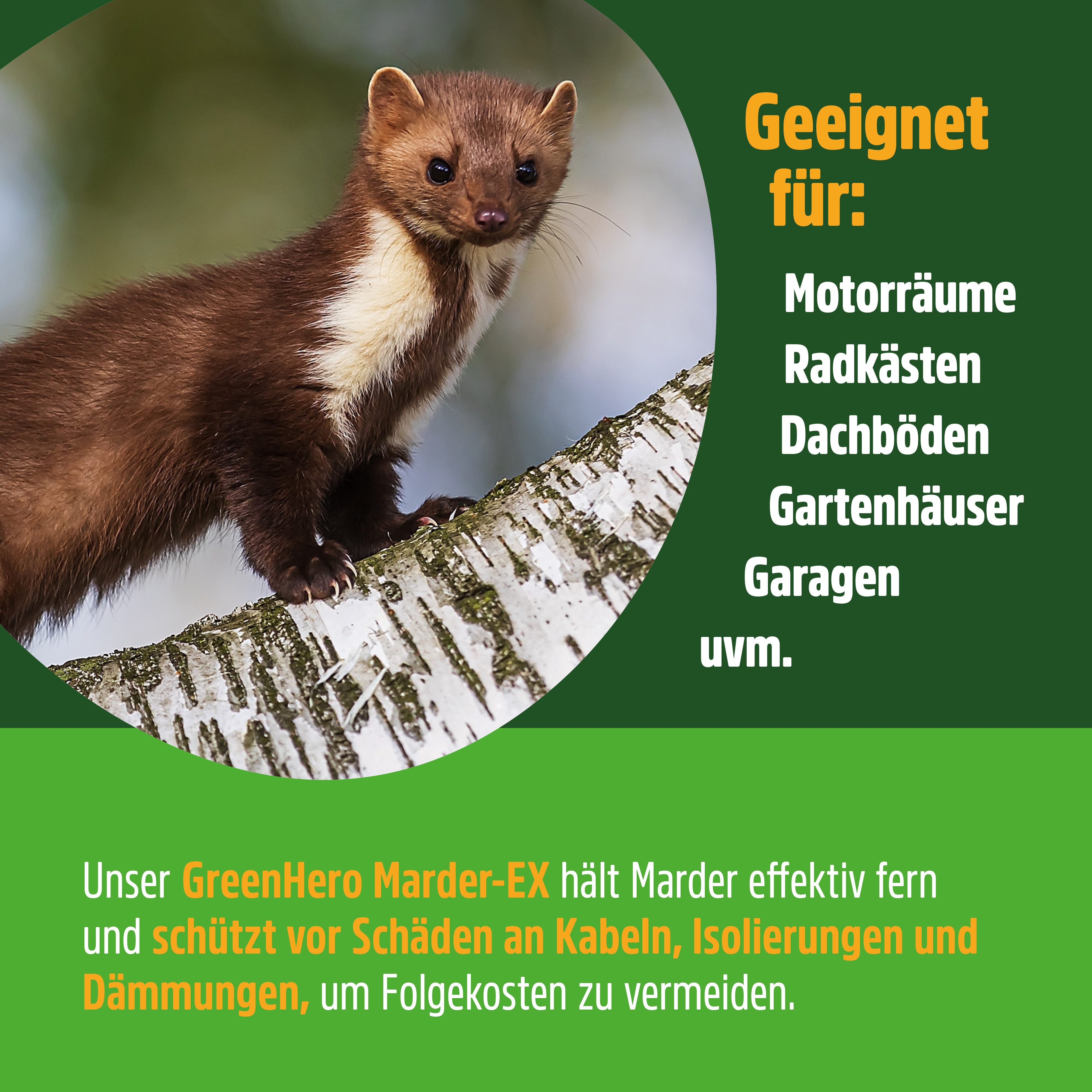 GreenHero Marderspray Marder-EX Marderabwehr, 500 ml – Bild 4 von 5